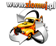 Automobilių atsarginės dalys, skirtos varikliams varikliams didmeninė prekyba Lenkijoje